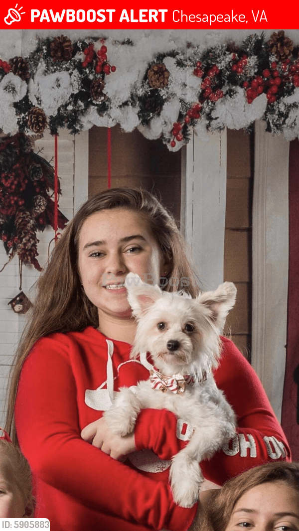 Lost Male Dog in Chesapeake, VA 23322 Named Leo (ID 5905883) PawBoost