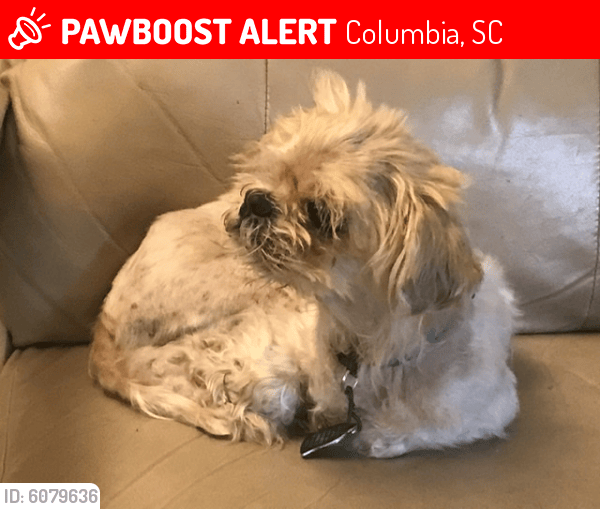 Deceased Female Dog in Columbia, SC 29206 (ID 6079636) PawBoost