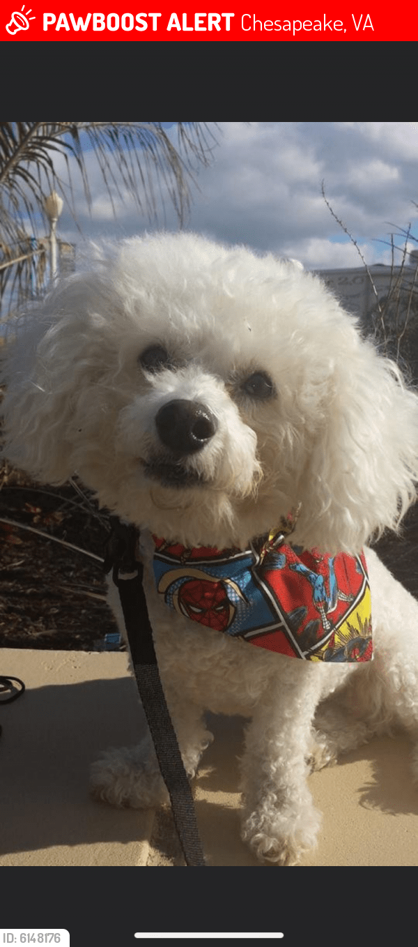 Lost Male Dog in Chesapeake, VA 23325 Named Snowy (ID 6148176) PawBoost