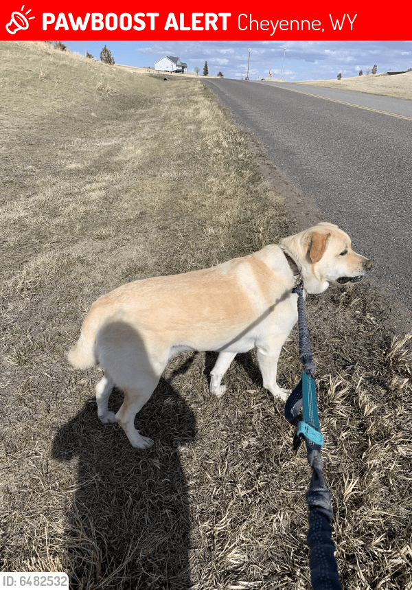 Lost Male Dog in Cheyenne, WY 82009 Named Sir (ID 6482532) PawBoost