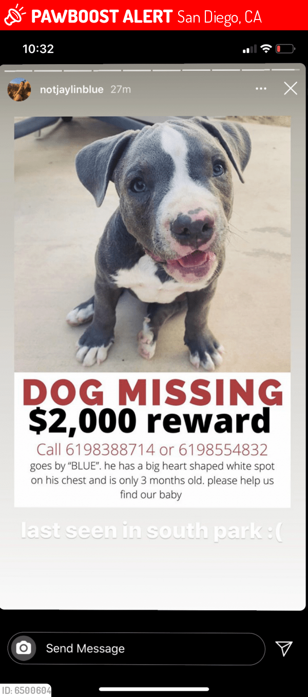 Lost Male Dog in San Diego, CA 92101 Named Blue (ID 6500604) PawBoost