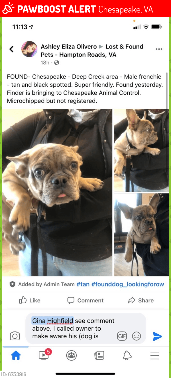 Lost Male Dog in Chesapeake, VA 23320 Named Mr (ID 6753916) PawBoost