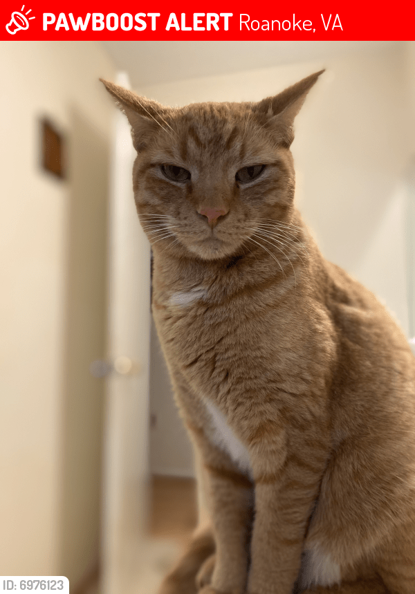 Cat Pair Names Male design92107