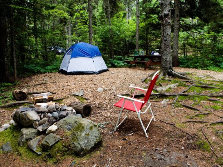 250+ Funny Campsite Names Create Memorable Moments