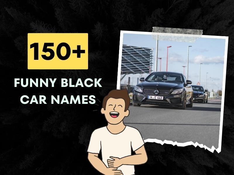 150+ Funny Black Car Names SideSplittingly Ideas!