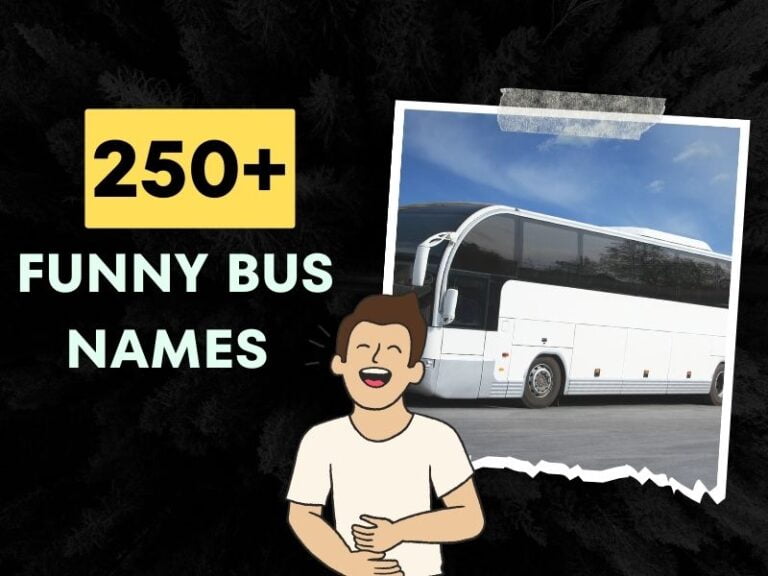 250+ Funny Bus Names ( Chuckles, Giggles, and Grins on Wheels)