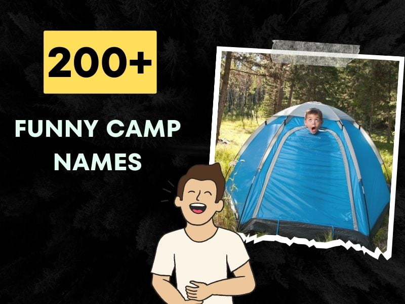 200+ Funny Camp Names Creativity Meets the Great Outdoors