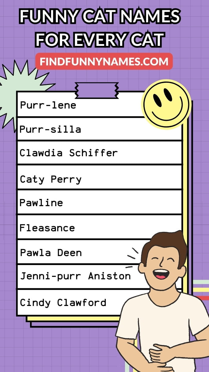 300+ Funny Cat Names (Male, Female, Puns & Badass Ideas)