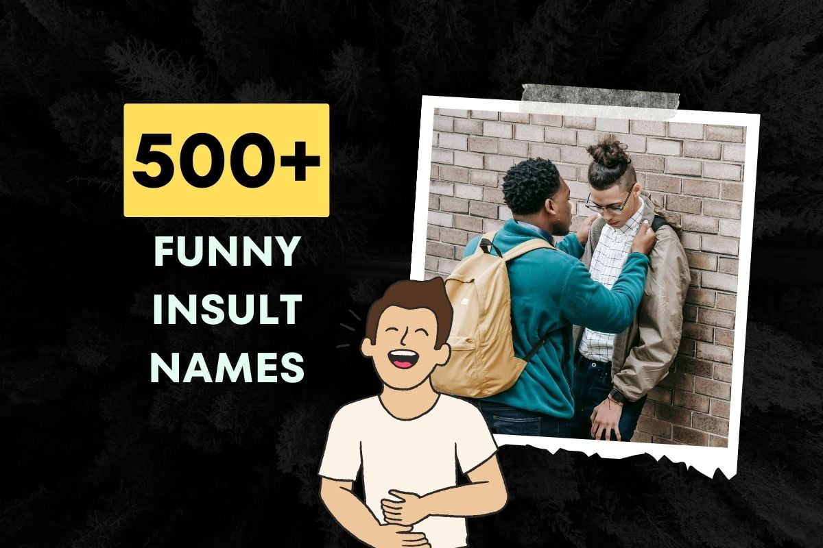 200+ Funny Insult Names The Ultimate List for Roasting Friends!
