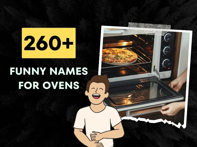 260+ Funny Names For Ovens (FoodInspired and Rhyming)