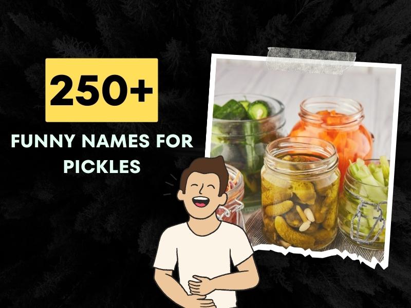 250+ Funny Names For Pickles Hilarious Jar Jargon!