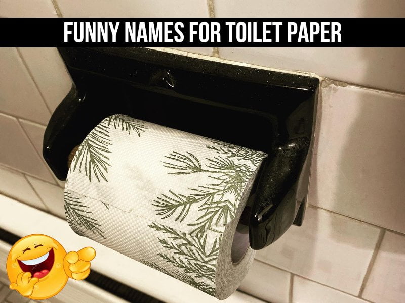 Funny Names for Toilet Paper [90+ Hilariously Creative Ideas]