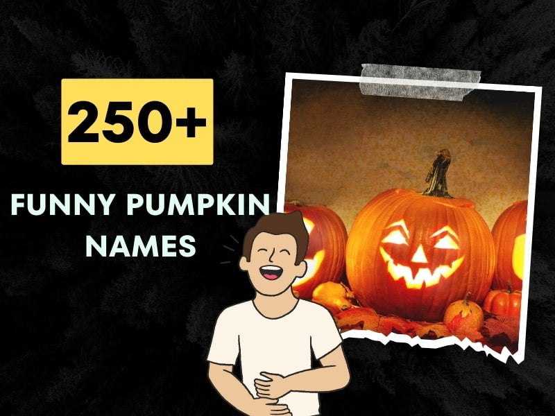 250+ Funny Pumpkin Names (Creative Ideas for Fall Fun)