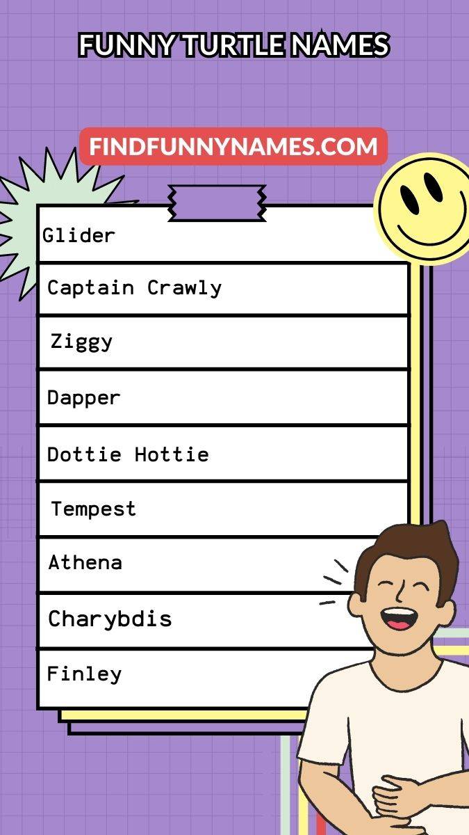 300+ Funny Turtle Names (Unique Ideas for Your Shelled Friend)