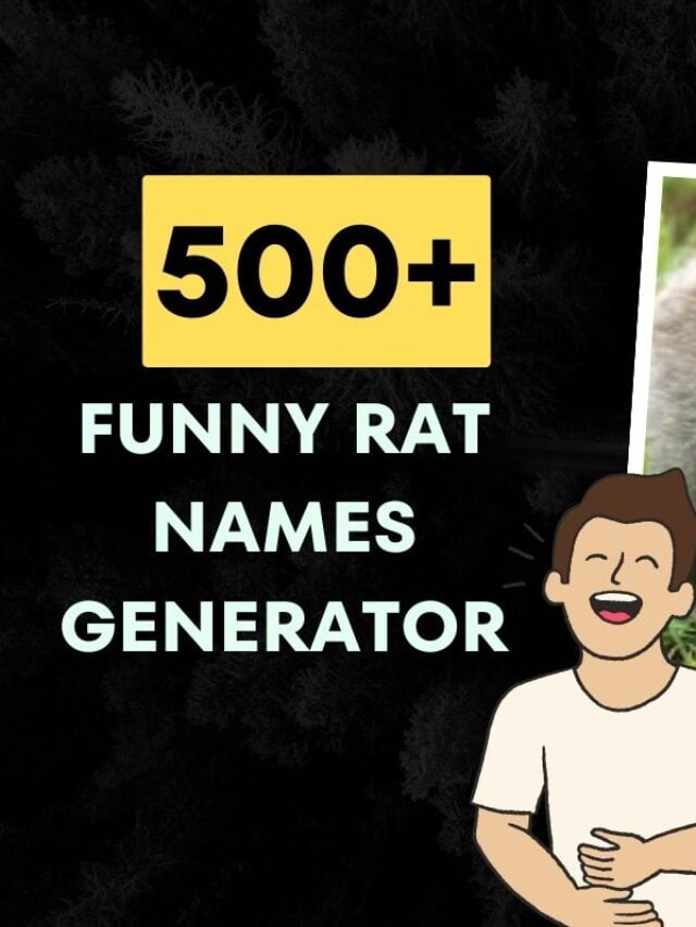350+ Funny Rat Names Find Funny Names