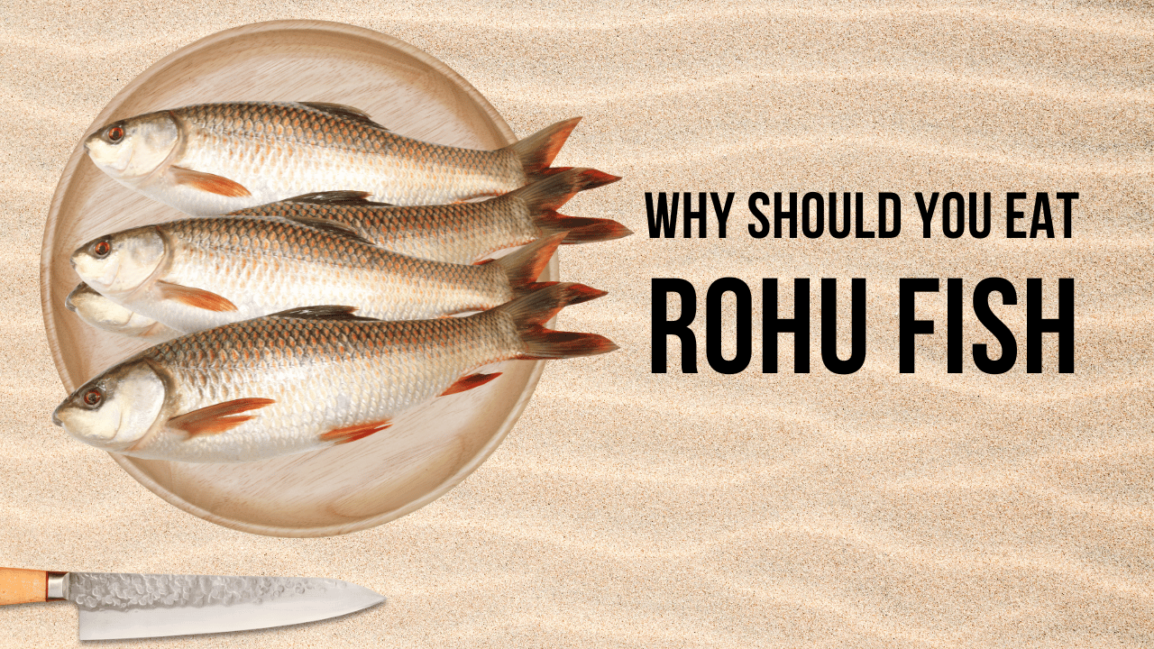 Why Should You Eat Rohu Fish Rohu Fish Benefits Find Health Tips
