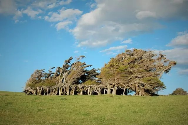 Things to Do in the Catlins, NZ A Travel Guide Finding