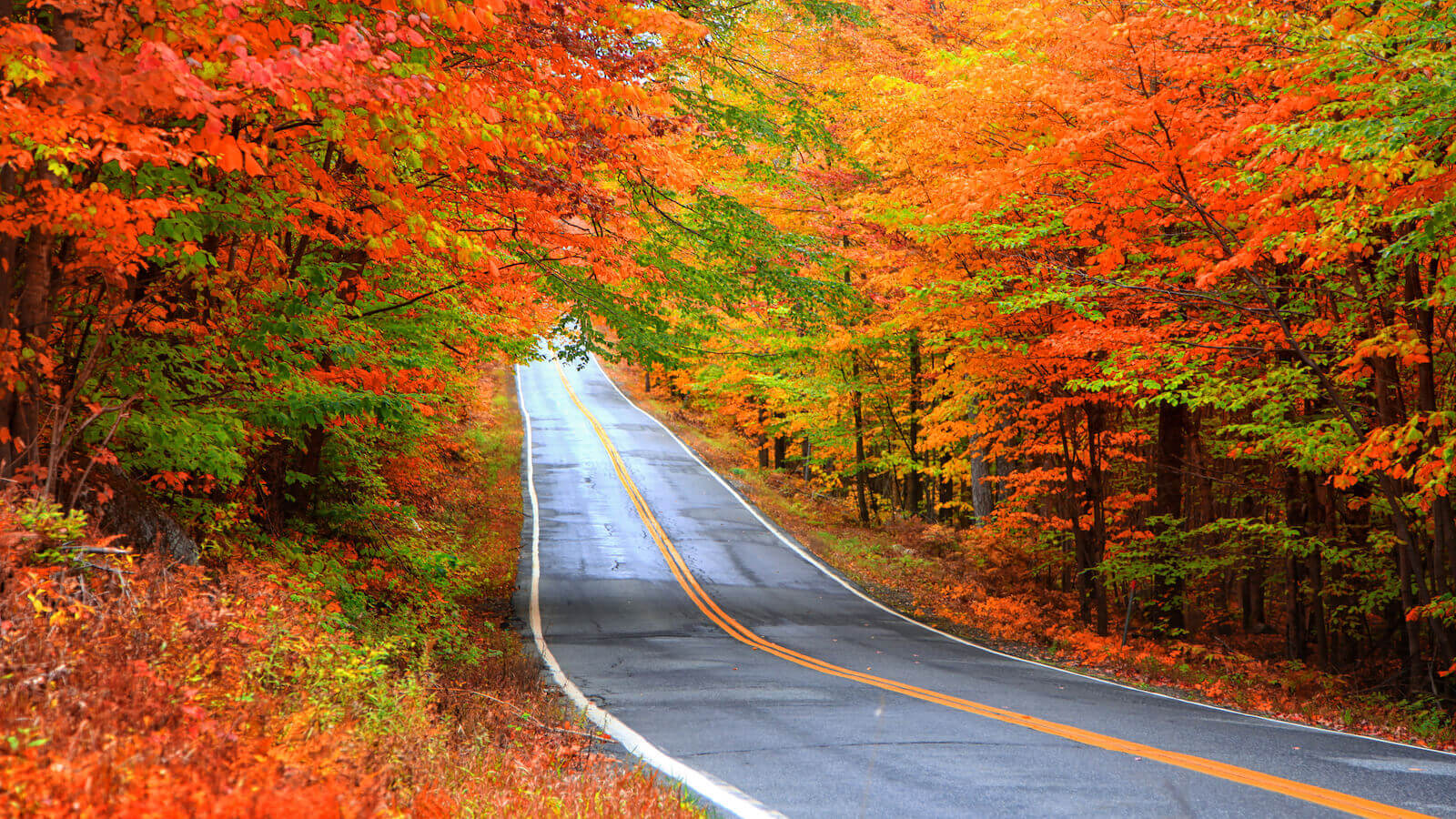 6 Best Road Trips in Vermont, USA Finding Beyond