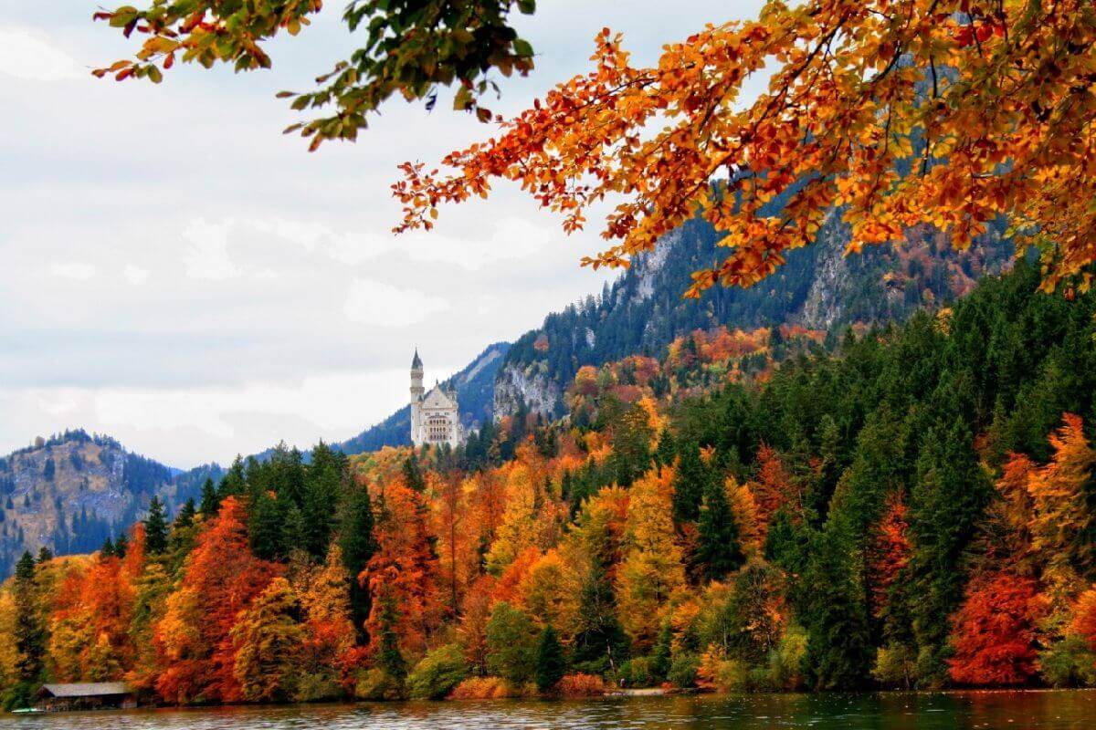 5 Reasons to Visit Germany in Autumn Finding Beyond