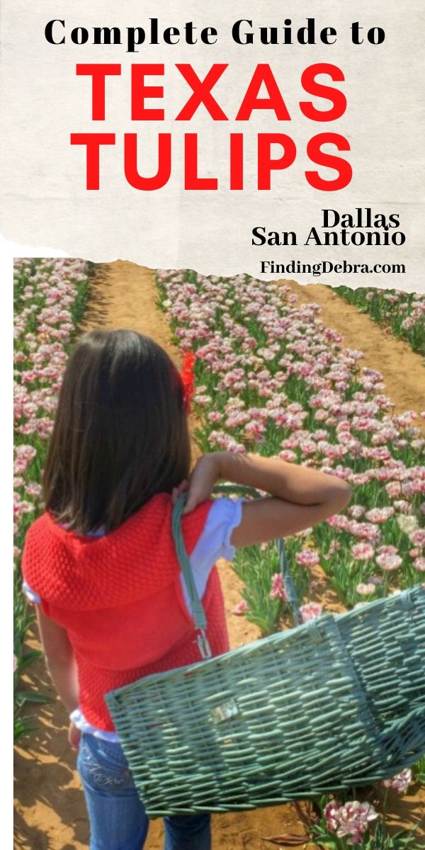 Visit Texas Tulips A Spring Destination Finding Debra