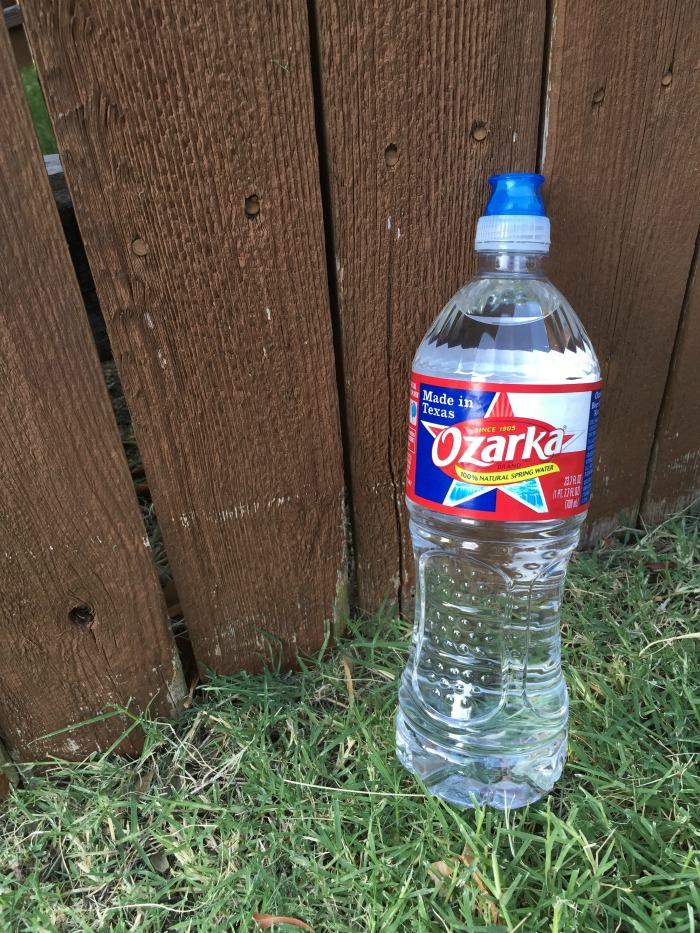 Top 6 Things Texans Love... Finding Debra