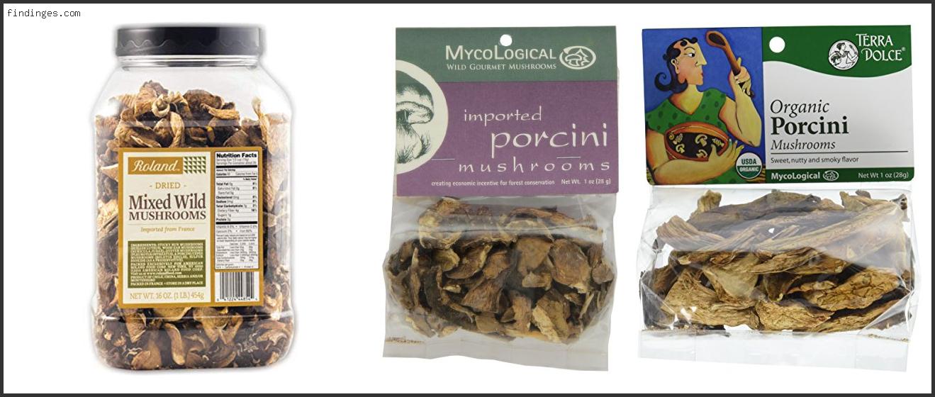 Top 10 Best Dried Porcini Mushrooms With Expert Findinges