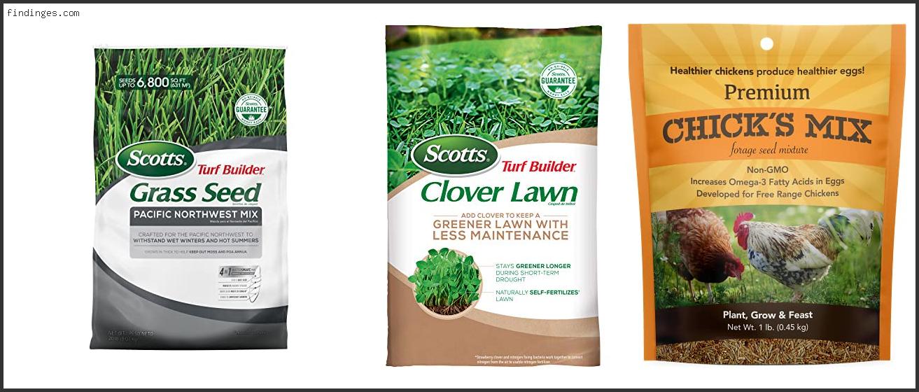Top 10 Best Grass Seed For Seattle Based On Scores Findinges