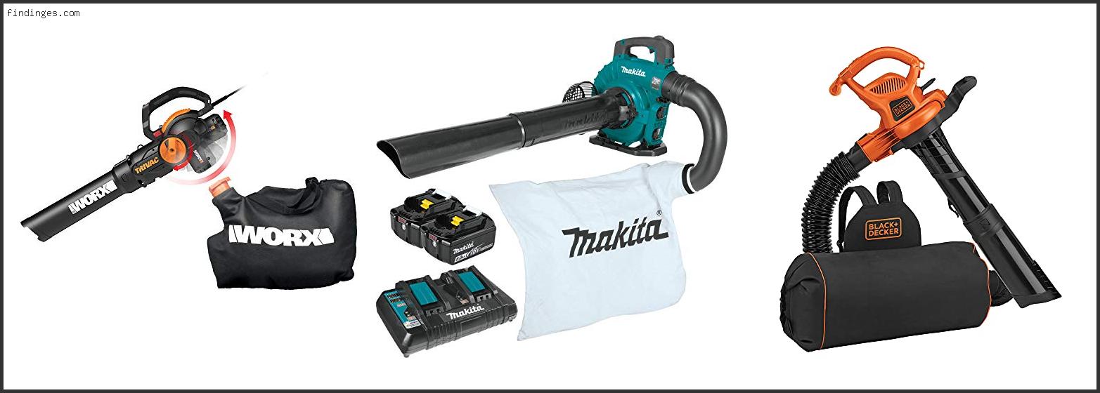 Top 10 Best Yard Vacuum For Acorns - To Buy Online - Findinges