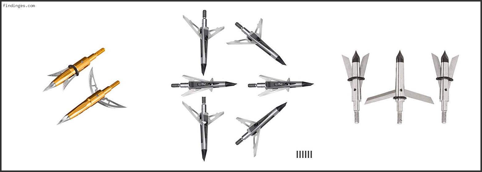 Top 10 Best Expandable Broadhead Based On Scores Findinges