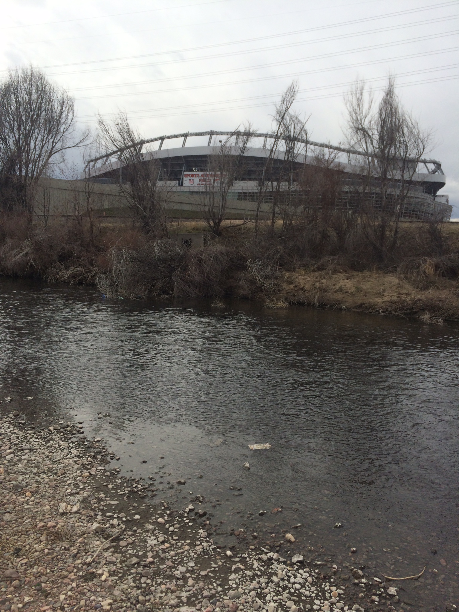 Point Barr Prospecting Site on the Arkansas River Finding Gold in