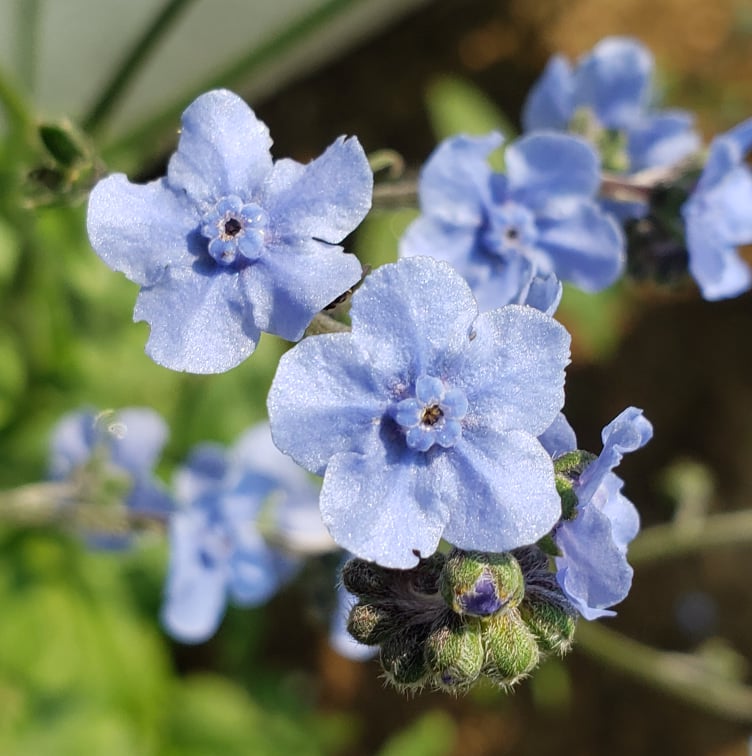 A Way of Life Healing Grace Center For Hope and Healing