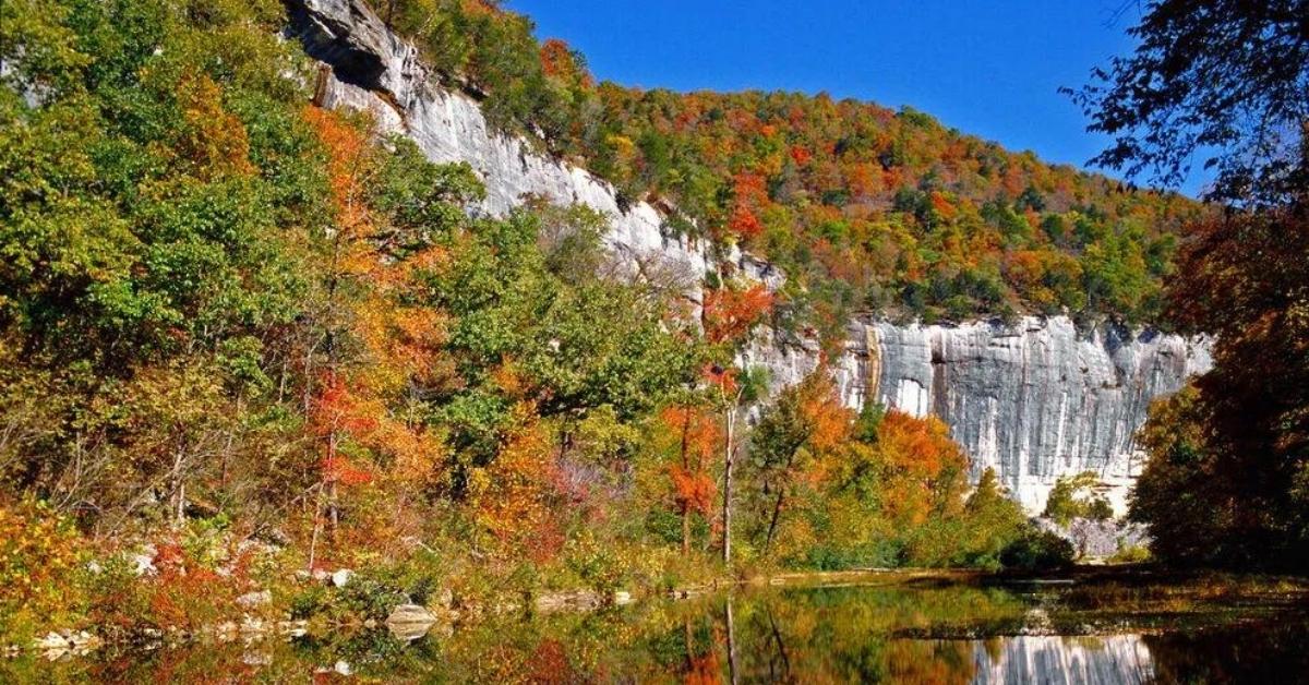 Ozark Fall Festival 2023