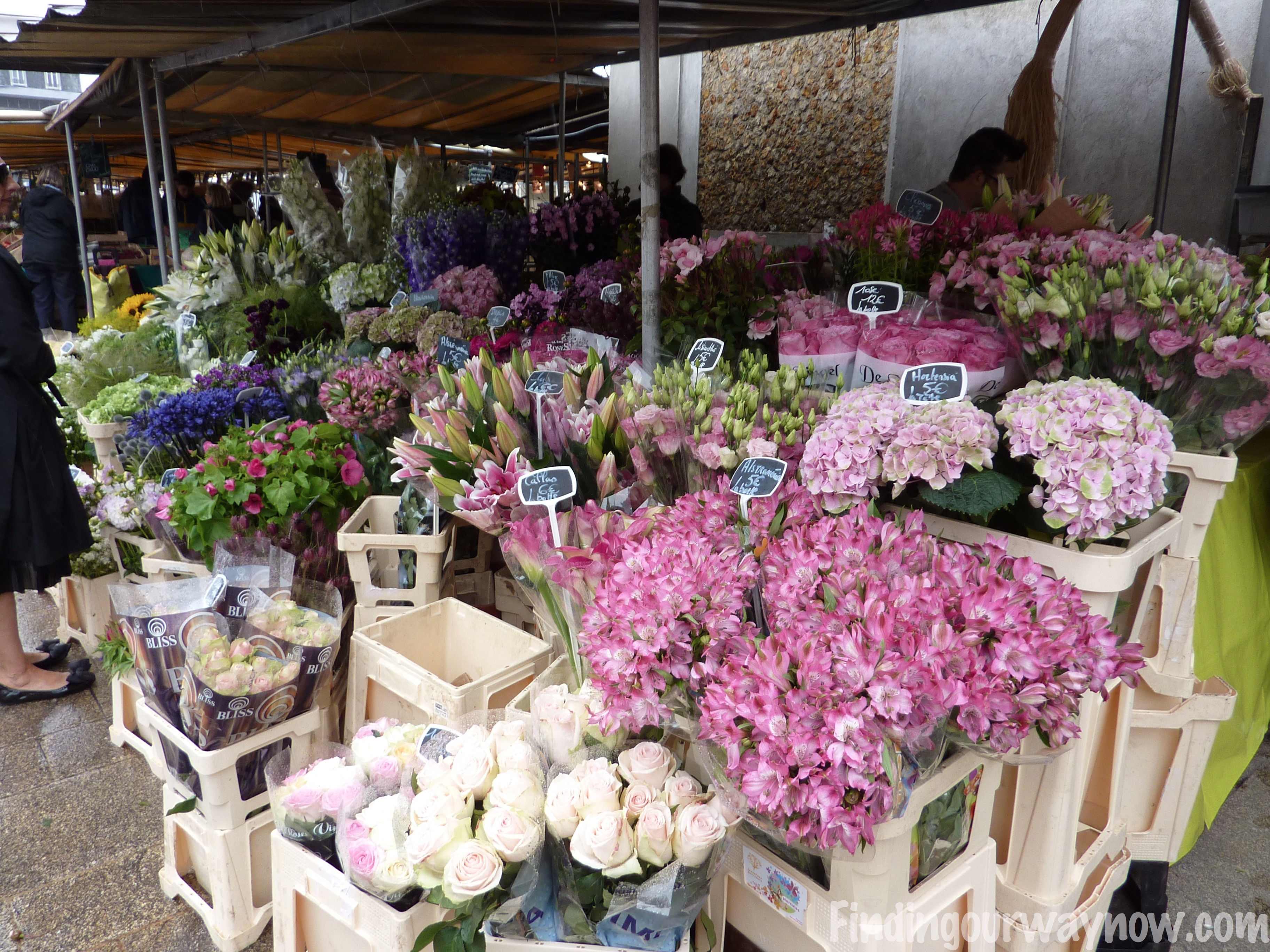 Flowers In France A Photographic Journal Finding Our Way Now