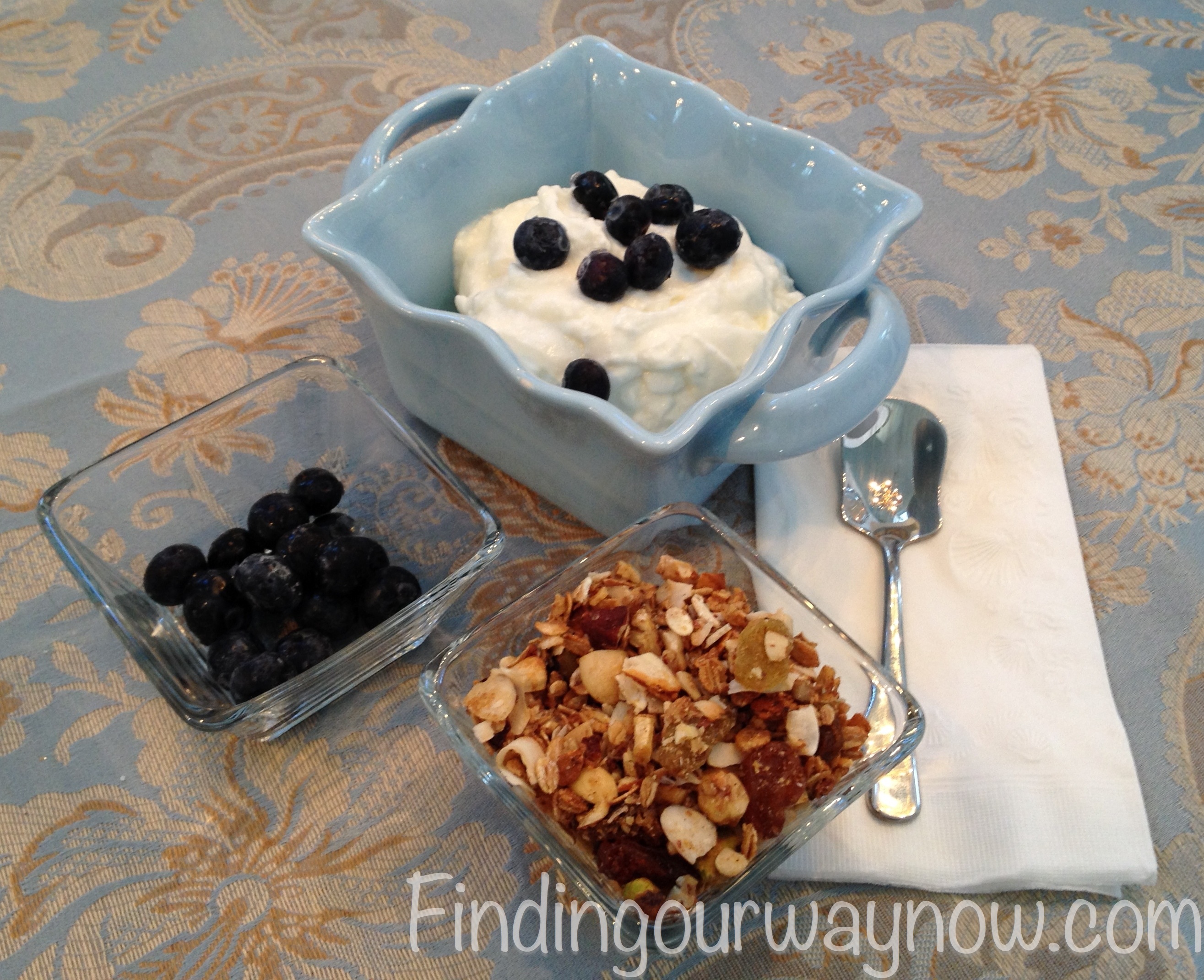Homemade Yogurt Recipe Finding Our Way Now