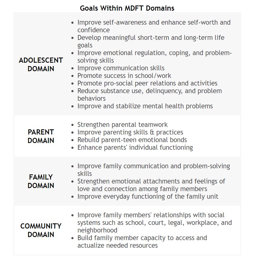 The goals of multidimensional family therapy
