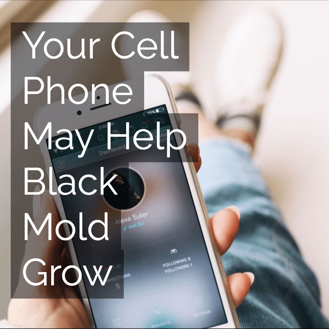 Your Cell Phone May Help Black Mold Grow ﻿ Certified Mold Inspections