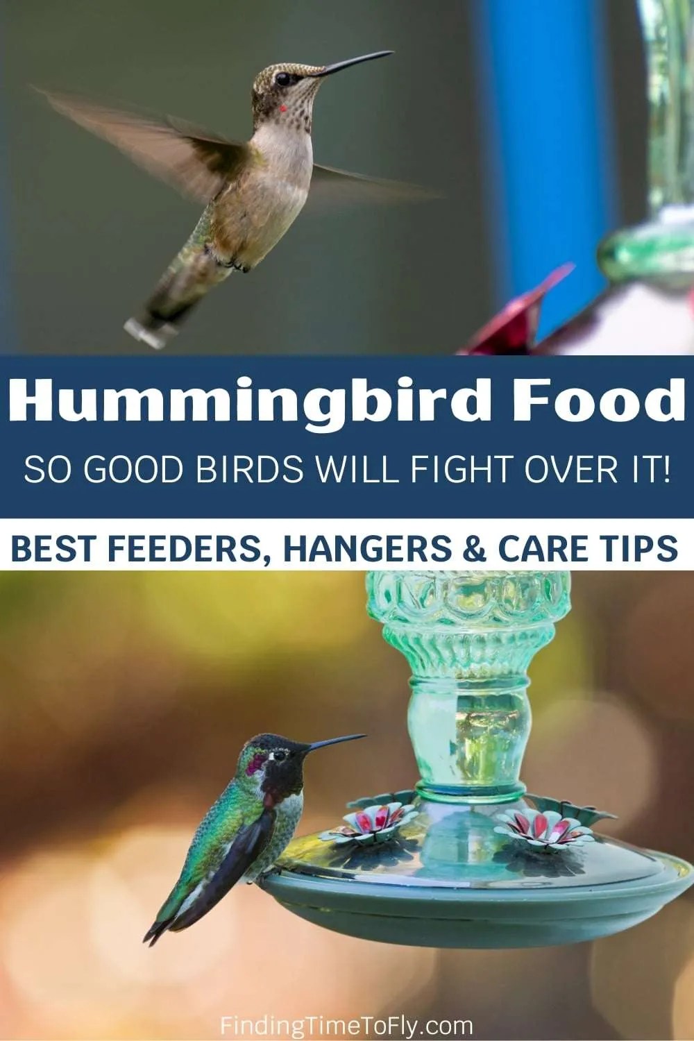 How to Make Hummingbird Food Finding Time To Fly