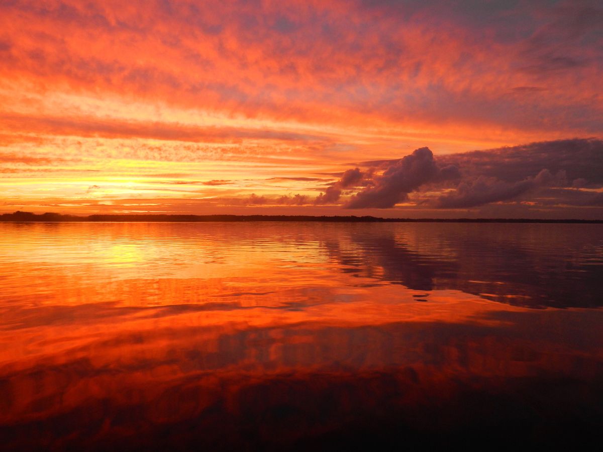 Private Islands for Sale in Florida Find Islands