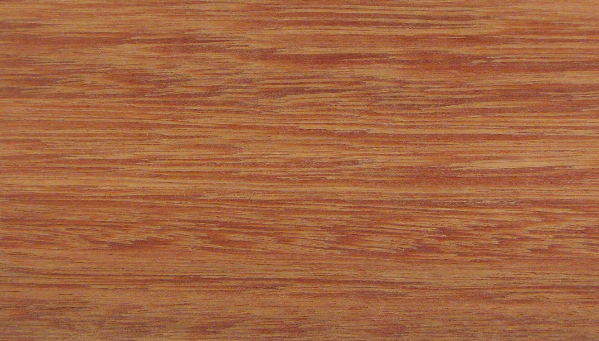 Grandis timber in Sri Lanka, price and