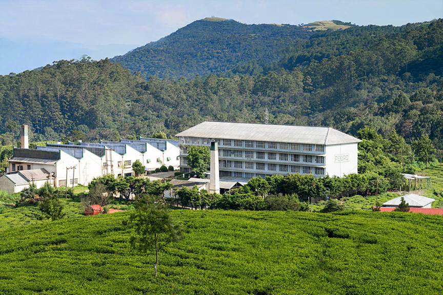 Pedro Tea Factory in Sri Lanka, price and