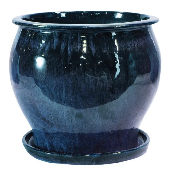 Metal flower pot in Sri Lanka, price and