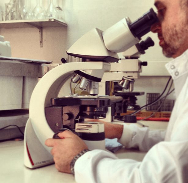 HSE Laboratory ServicesMedical Laboratory LImsida,Malta+356 Findit