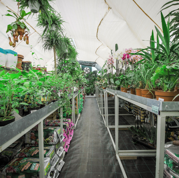 Callus Garden CentreGarden Centres IsSiggiewi,Malta+356 2146 2229