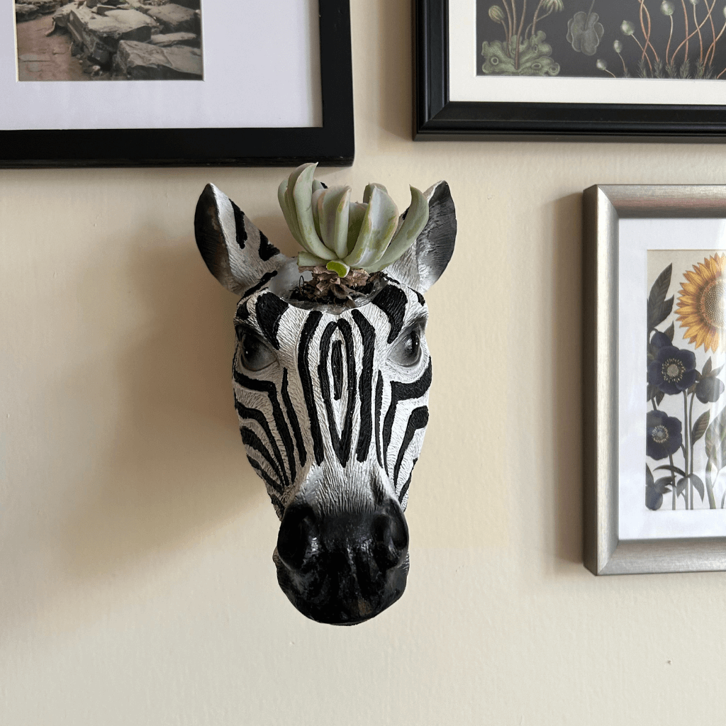 Zebra Head Wall Planter