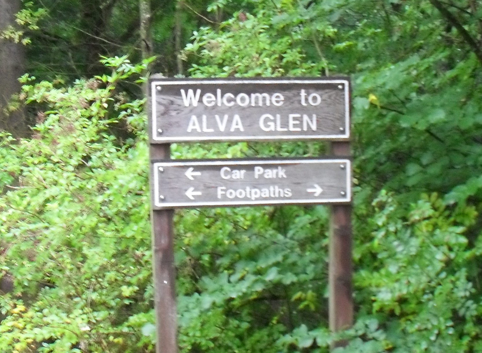 Alva Vale from Findo Gask Goblin Detective