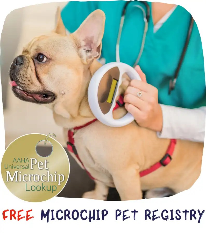 pet microchip registry and free national lost and found