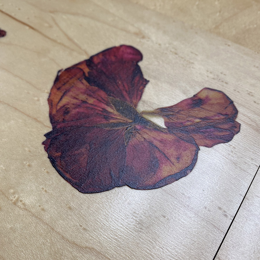 TEXTURED FINE ART PRINTING SERVICES Fine Art Printing Los Angeles