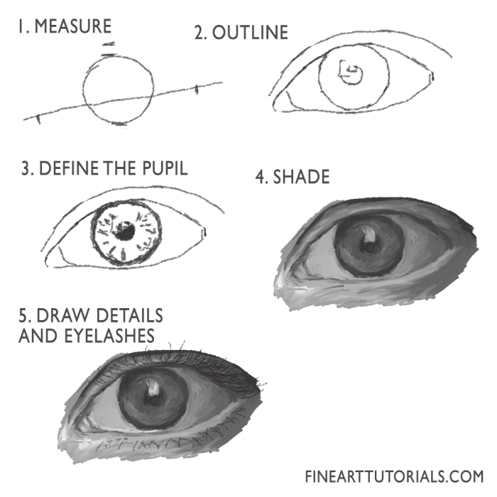 How to Draw a 3D Cylinder A Journey of Shapes and Shadows