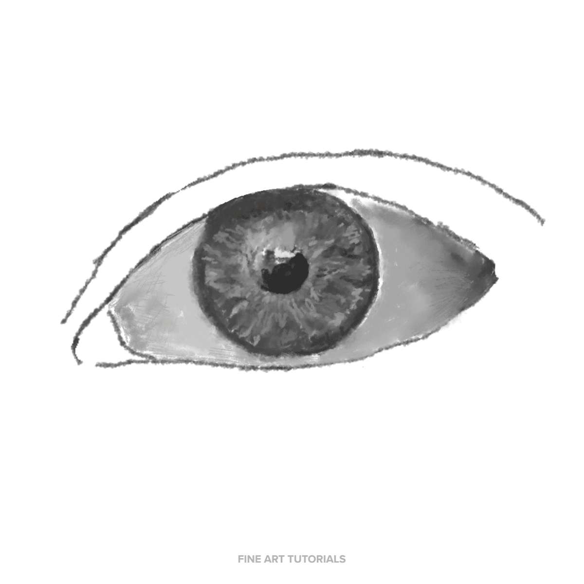 Eye Drawing Step by Step Tutorial