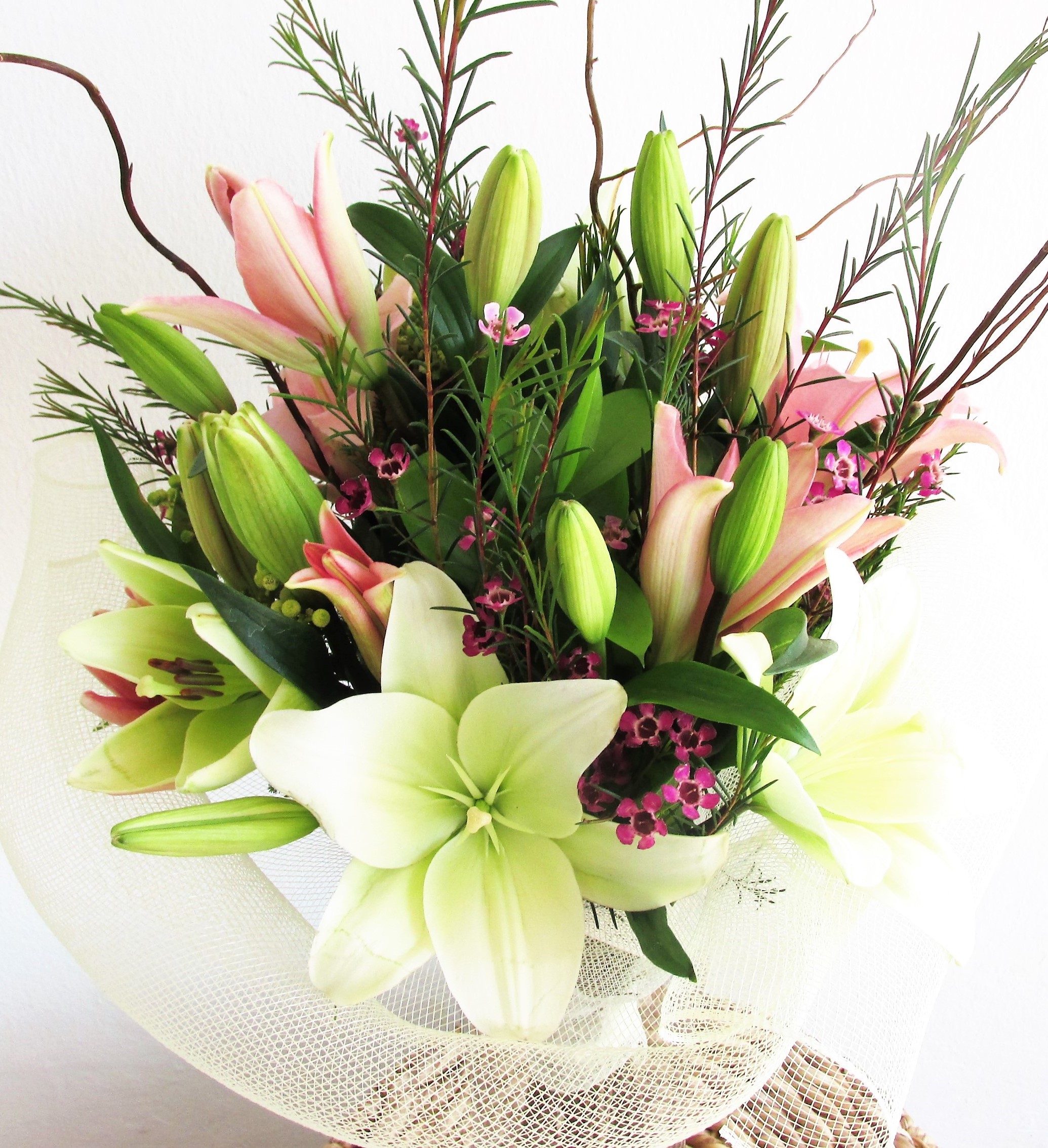 Lily Splendour Fine Flowers